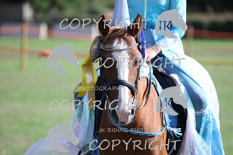 APP_4094 - Class 19 Fancy dress