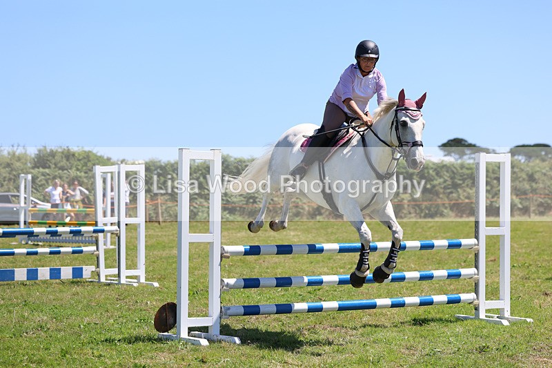 3E7A5647 - Class 9: Senior British Novice/90cm open