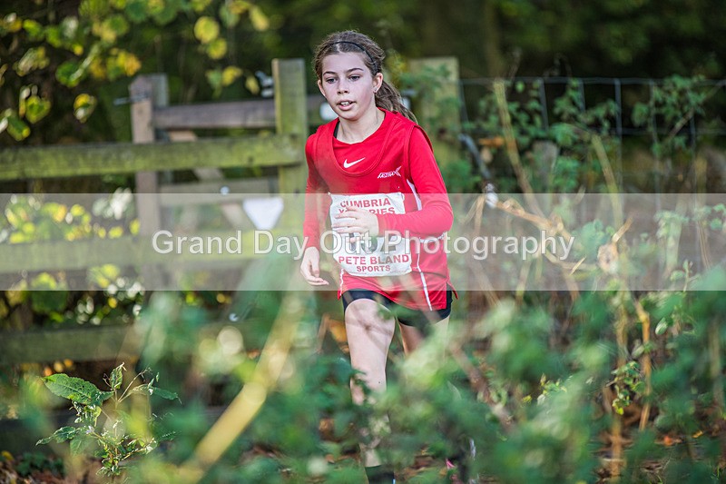 Cumbria XC-294 - Cumbria XC League Workington Saturday 26th October 2024
