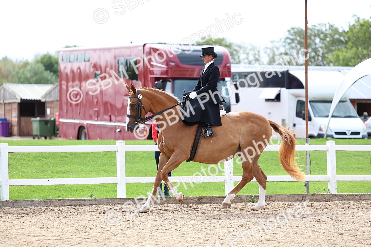 SBM_03329 - Class 23 - SSA Classical (any age)