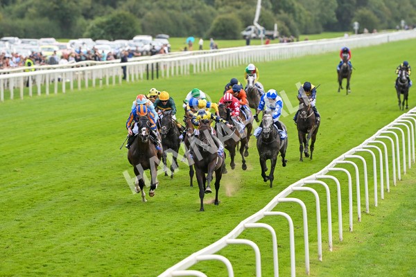 240824-Race 2-Tabletalk-1287 - Race 2 2.25pm Sky Bet Melrose Handicap