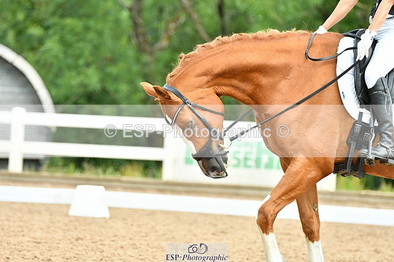 230701A-095506-04630 - Cls 4 Novice 23