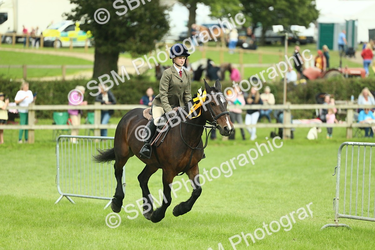 SBM_42253 - S29 - Novice & Newcomers Working Hunter Pony