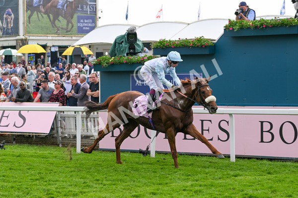 170524-Race 4-Giavellotto-8104 - Race 4 3.45pm Boodles Yorkshire Cup Stakes
