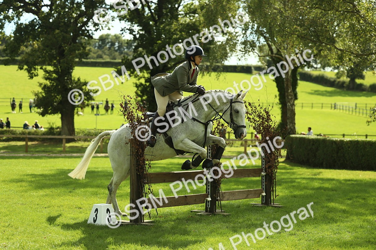 SBM_47910 - S32 - Novice & Newcomers Working Hunter