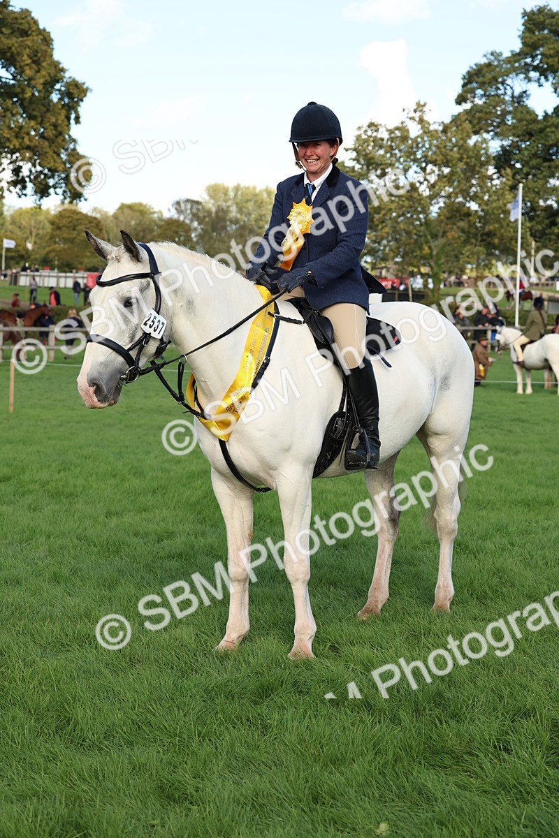 SBM_50179 - S34 - Novice & Newcomers Working Hunter