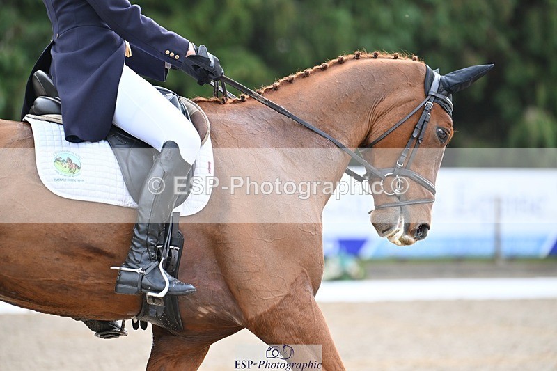 231019-122000-03068 - 113-RIVERSTOWN.ROYAL-Georgie.Frow-DR