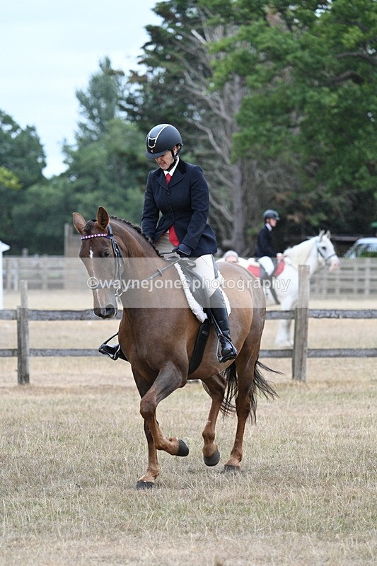 WJ7_0864 - Class 7 Riding Club Show Horse
