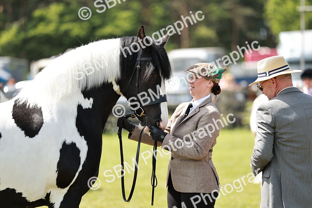 SBM_04221 - Class 39-40 - BSPA Coloured In Hand