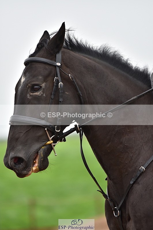 230808A-162704-00188 - 70cm