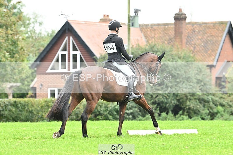 241024-144529-04359 - 584-Tommy.Greengard-I'M.ALL.IN