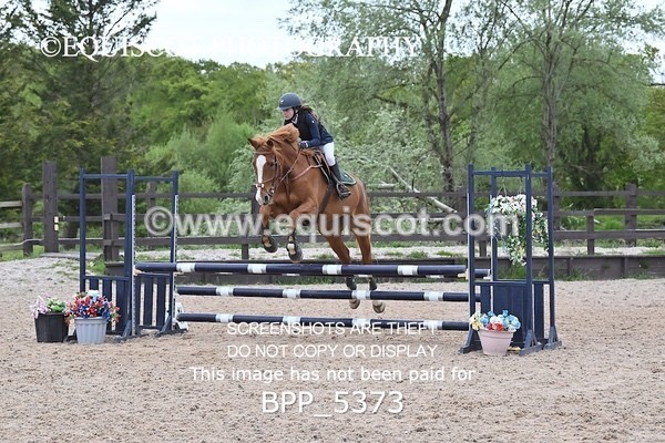BPP_5373 - CLASS 1 Clear Round Show Jumping