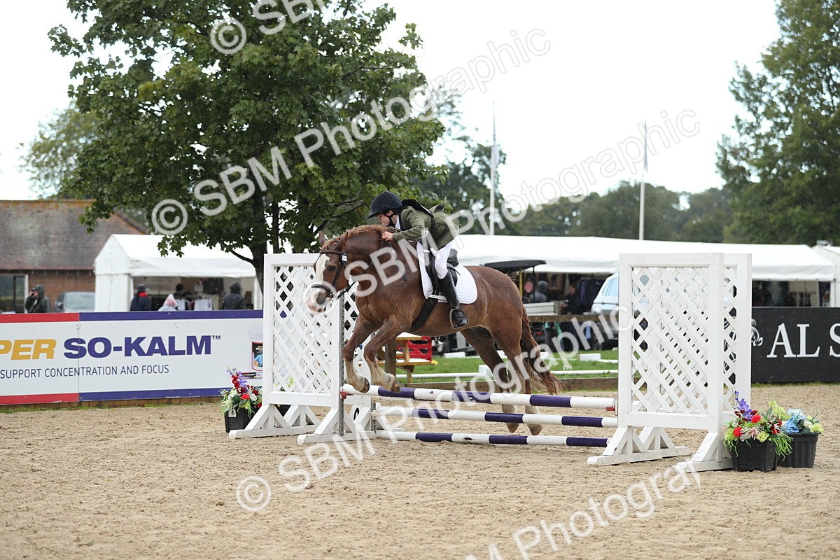 SBM_37195 - J20 - Junior Horse 50cm Championship