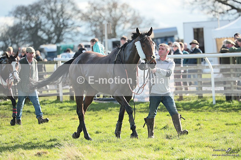 PtP 170324 2897 - Oakley Hunt PtP Brafield-On-The-Green 17/03/24