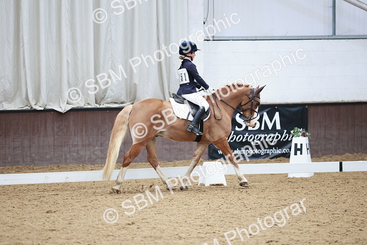 SBM_003965 - Class 2 - Novice 2020