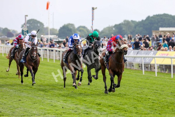 160524-Race 5-Big Evs-1906 - Race 5 4.15pm  British Stallion Studs EBF Westow Stakes