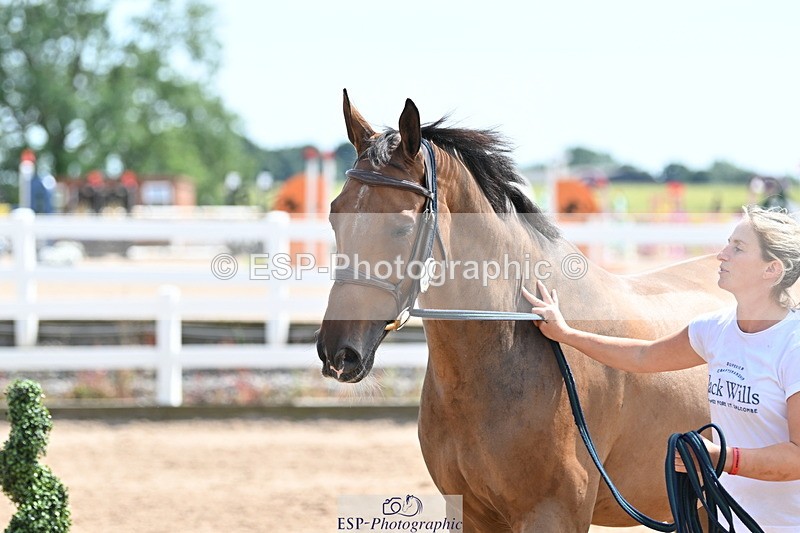240717A-150454-02520 - Trot Up 3pm to 4pm