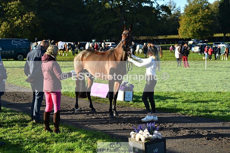 231022-092008-21710 - 665-OPPOSITION.FIDELITY-Izzi.Kirk-TrotUp+SJ