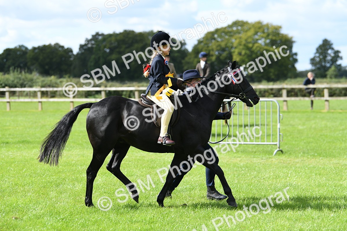 SBM_41285 - S19 - Lead Rein Show & Show Hunter Pony