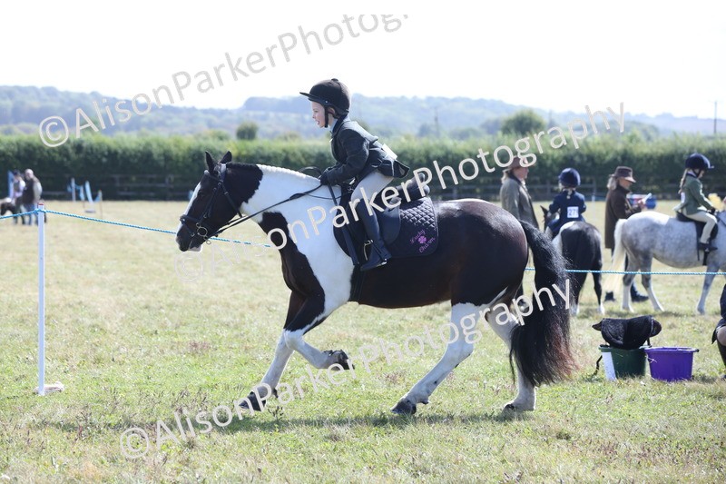 20250831-2492 - Class 16 - Family Pony