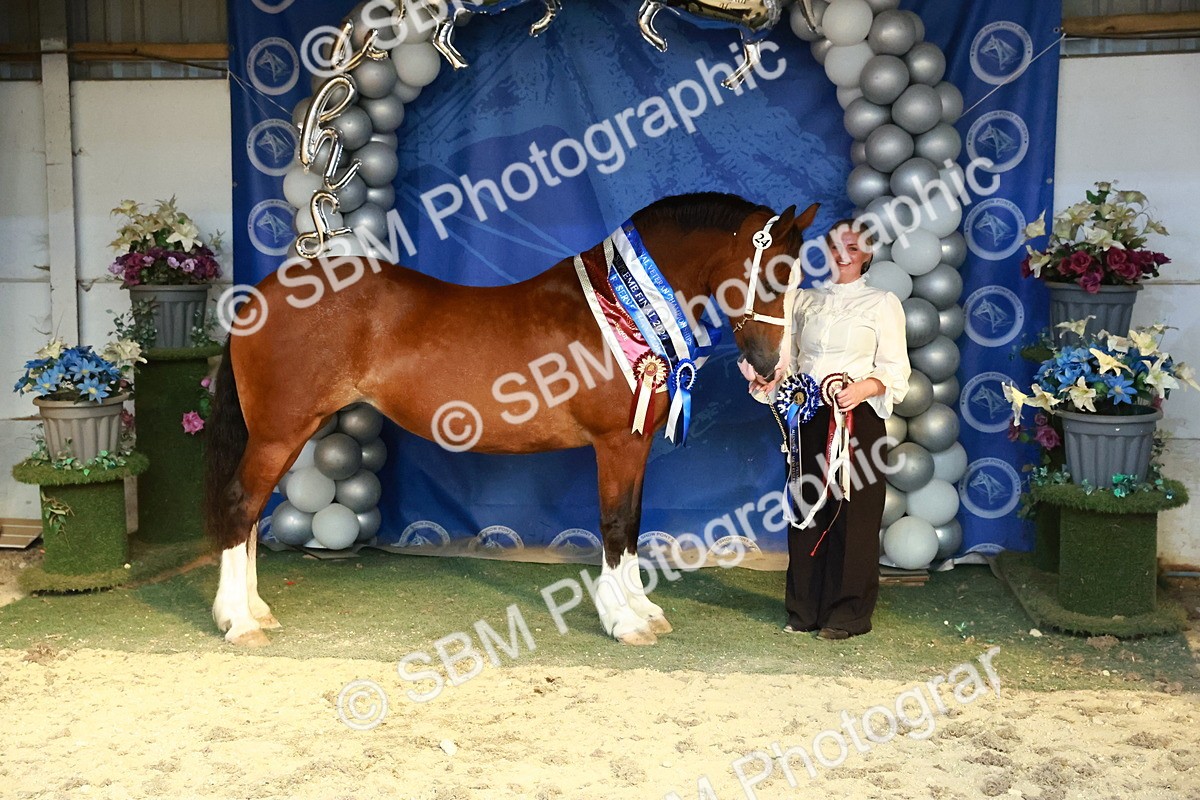SBM_17985 - M&M Supreme Final Champ