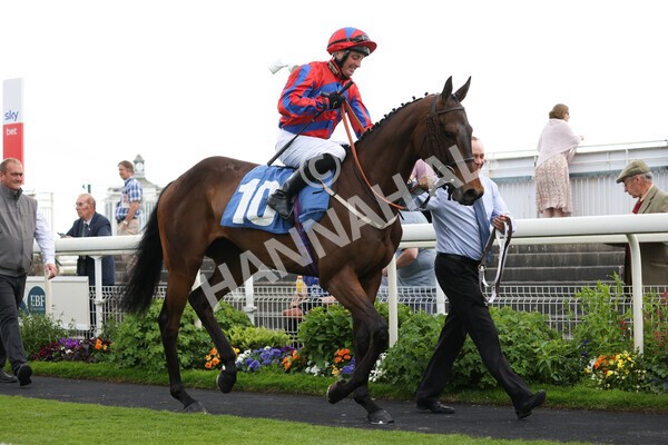 yr10062022r7-2 - Race 7 5.10pm Andy Thornton Hospitality Furniture Stakes