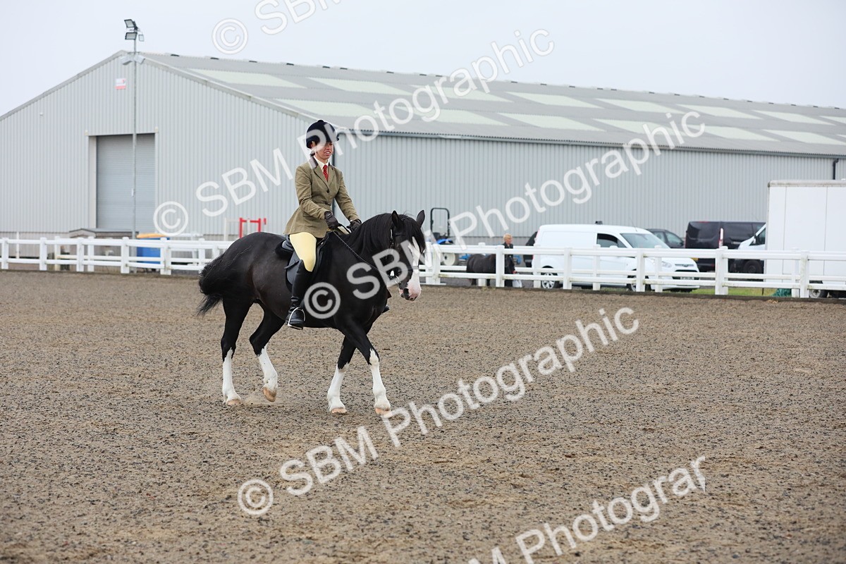 SBM_19936 - Class 801 - Ridden Veteran