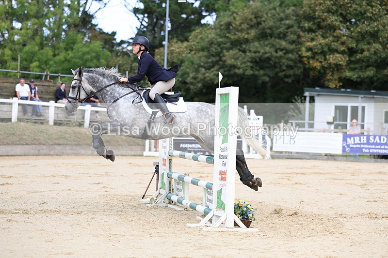 3E7A2052 - Class 4: Senior British Novice/90cm open