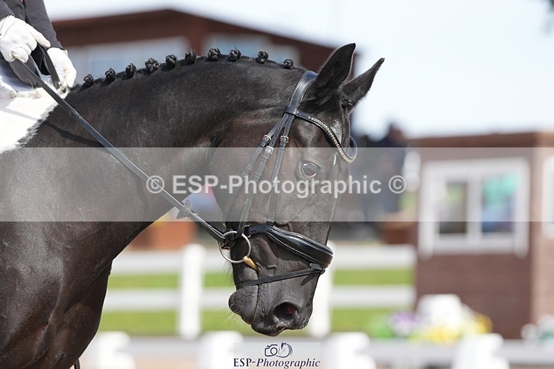 250906-135127-03776 - 020-Leo.De-ValentinoBarfields.Cosmopolitan