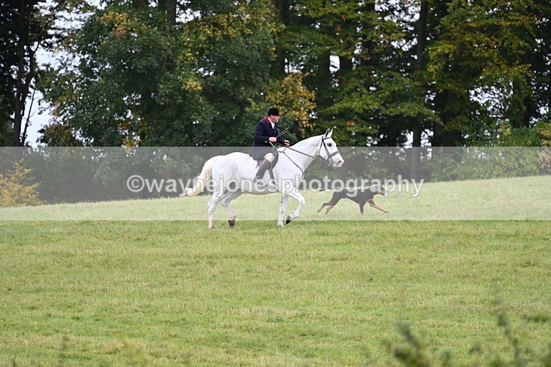 WJ7_4023 - Camera 1 Line 2