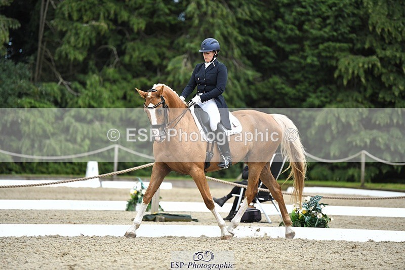 230812-144007-04765 - Cls 7 FEI PSG Bronze