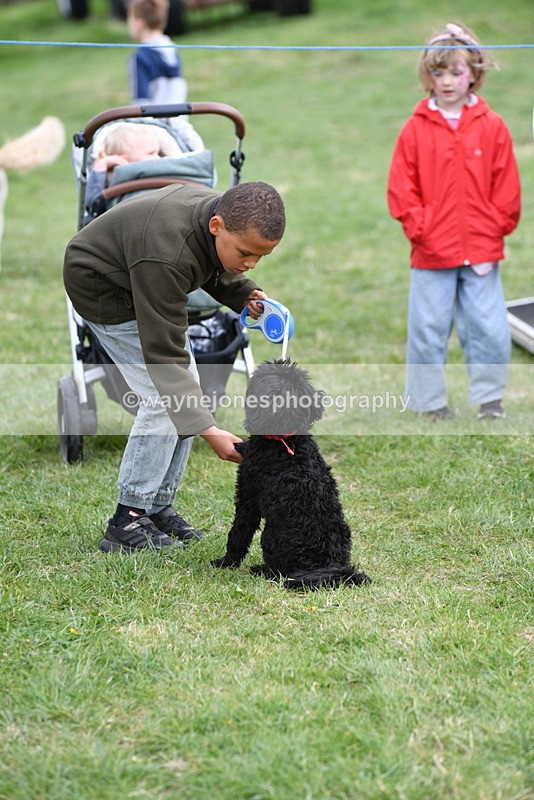 WJ5_9112 - Class 1 Best Cross Breed / Heniz 57