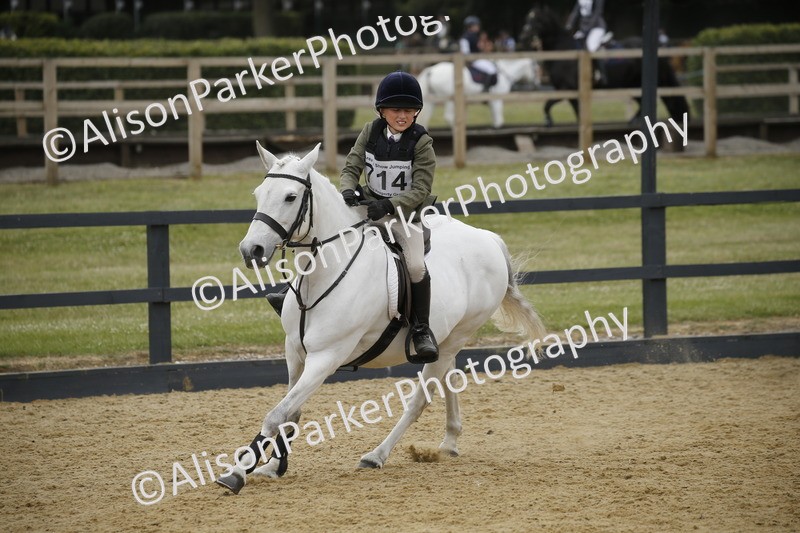 20250622-5895 - 60cm