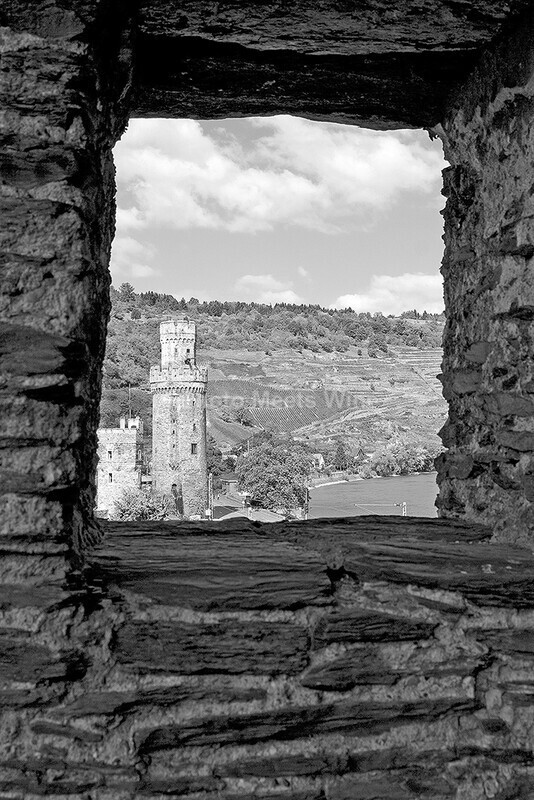  - Vineyards & Vines / Weinberge & Reben