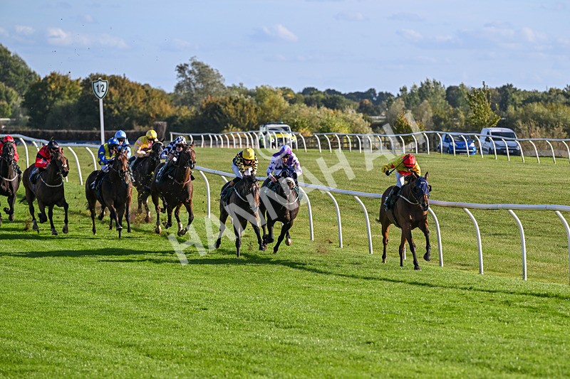 300926-Race 5-Vince Le Prince-6725 - Race 5 4.15pm Bet At racingtv.com Handicap (Div II)