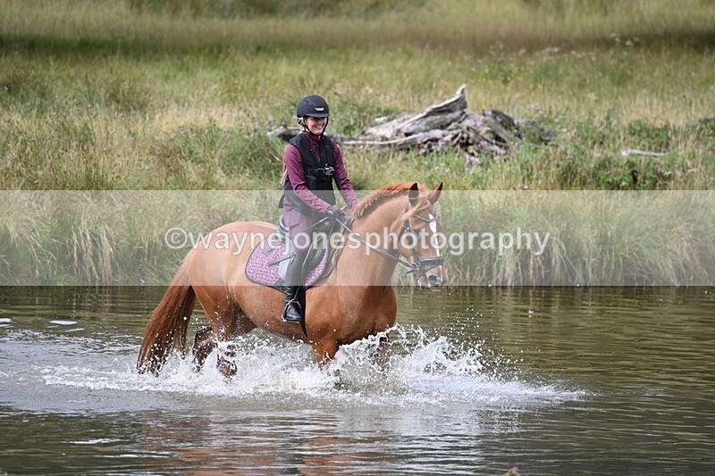 WJ7_2041 - Time at Water 11:14 to 11:36