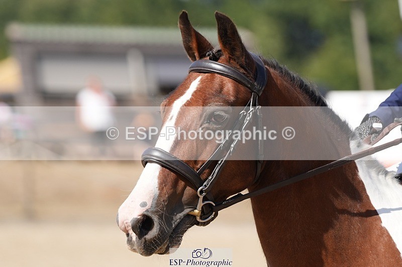 250822A-153427-23769 - WC Round 2 15.00 to 16.00