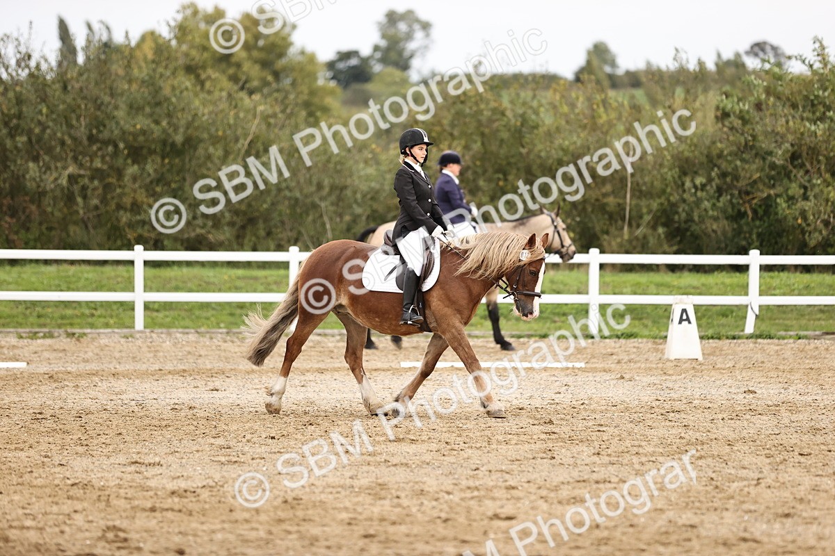 SBM_002738 - Prelim 1
