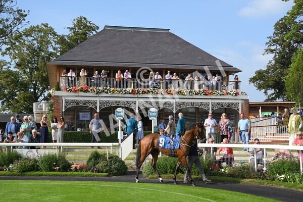 yr05092021r5-44 - Race 5 4.20pm Little Green Rascals Children's Nurseries Stakes