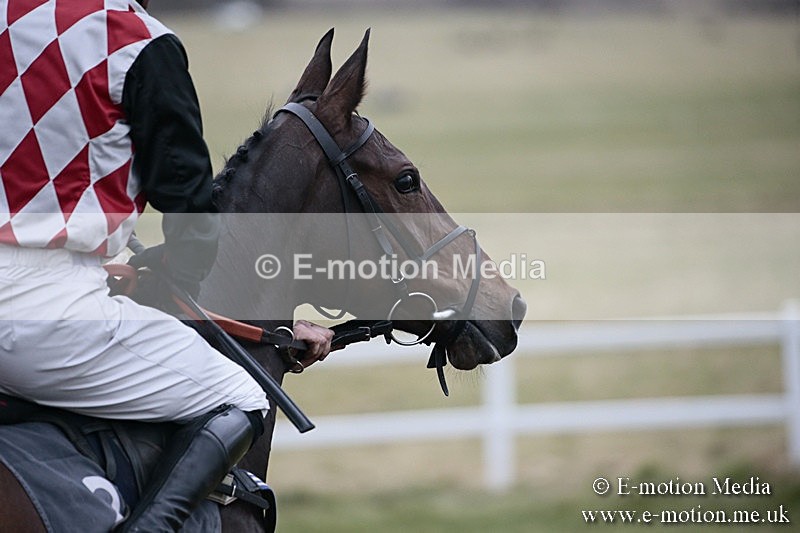 PtP 180218 712 - Combined Services Point-to-Point Larkhill 18/02/18