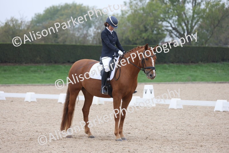 20251012-0641 - Class 5 - Elementary 5