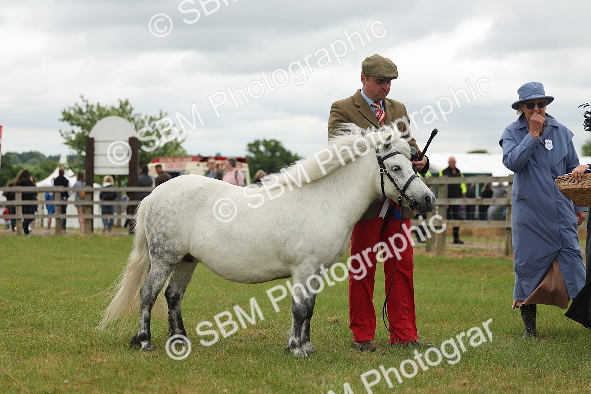 SBM_05092 - Class 50-57 - M&M Welsh Pony In Hand