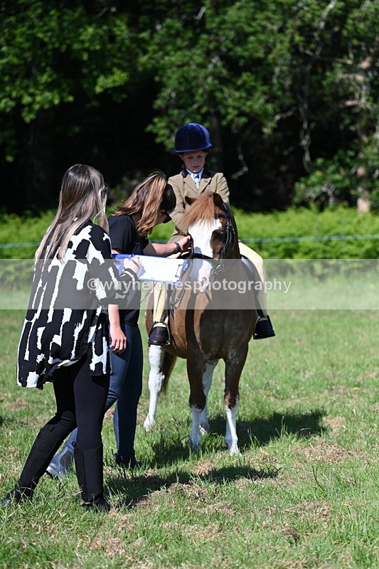 WJ7_0502 - Class 8 First Rally Pony