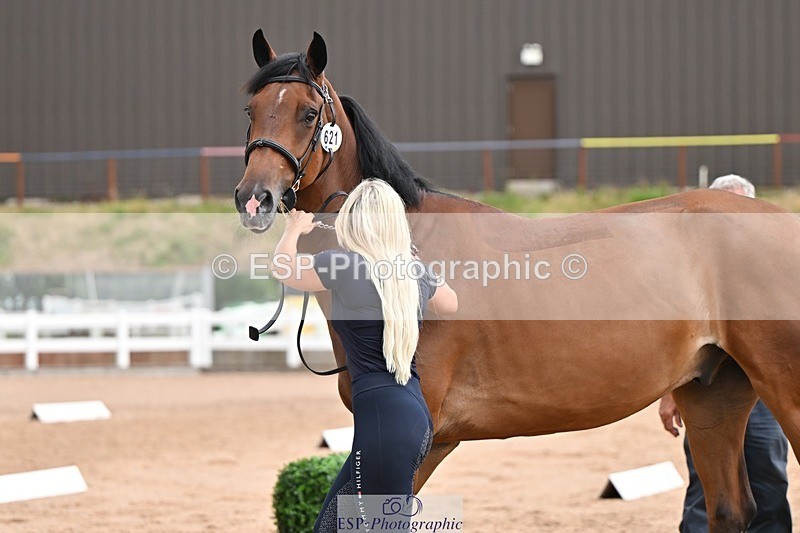 250716-145440-01503 - Trot Up 2.30 to 3.30