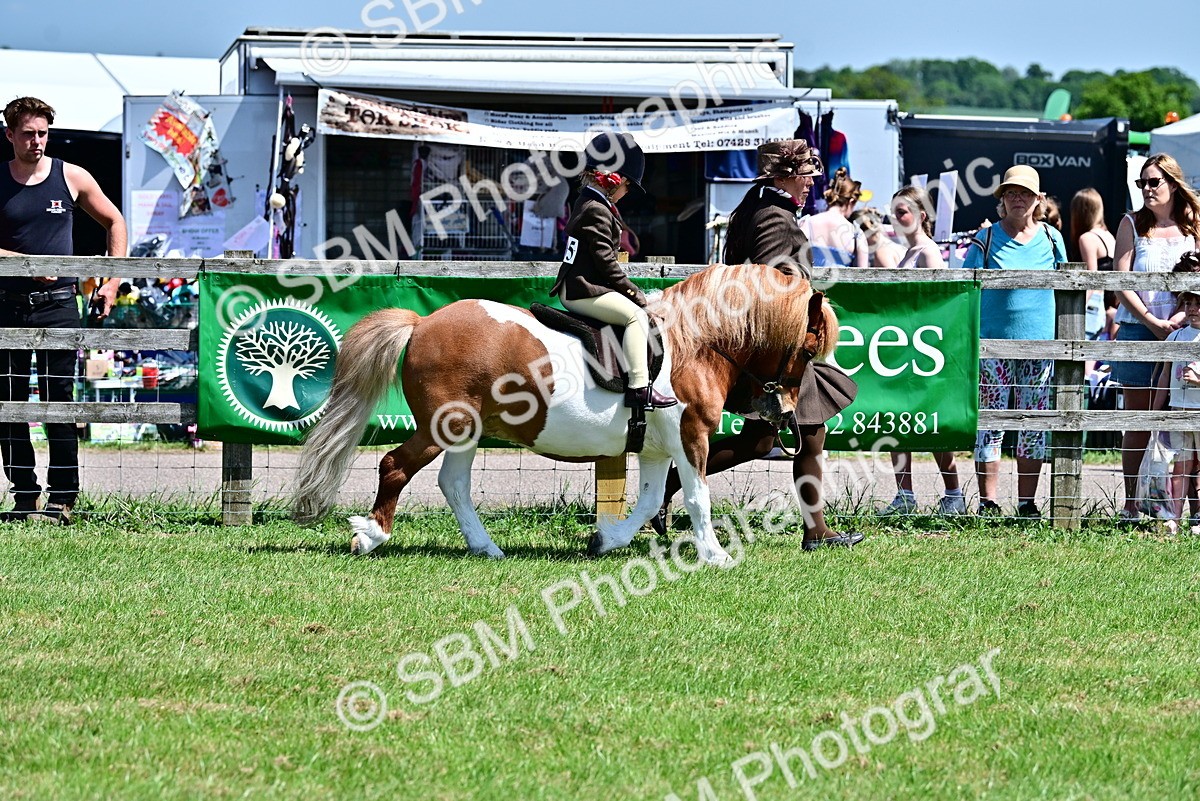 SBM_05812 - Class 59-60 - TSR M&M  Lear Rein and First Ridden Amateur of the year