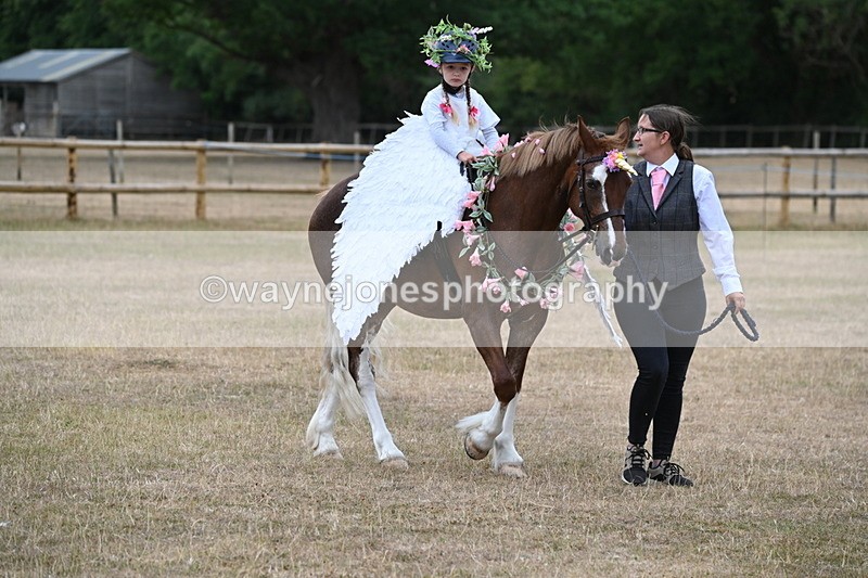 WJ6_8593 - Class 11 Fancy Dress