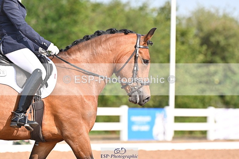 240817A-095258-06761 - 197-Karen.Martin-Furzeylodge.Weatherwax