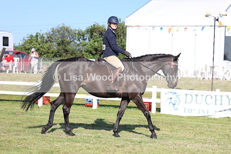 3E7A5223 - Class 2: Rising Star Large Hack/Riding Horse