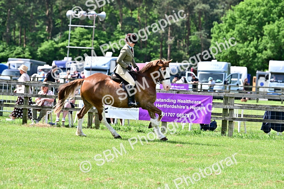SBM_03838 - Class 58 - TSR  Ridden Veteran Amateur of the year