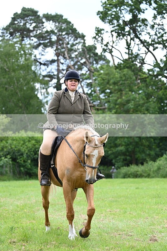 WJ7_2177 - Class 12A Coloured Class